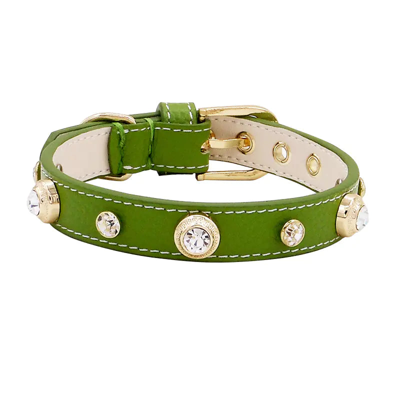 Multicolor Leather Pet Collar
